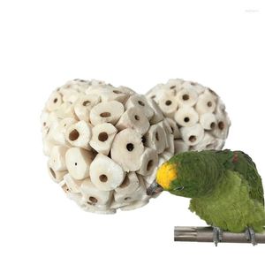 Autres fournitures d'oiseau 6pcs jouets naturels sola balles soft mâtume