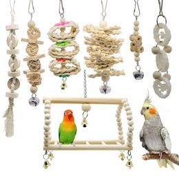 Otros suministros para pájaros 7 piezas Juguetes para pájaros Cacatúa Loro Juguetes y accesorios Percha color primario parkiet speelgoed jouet perroquet 221122