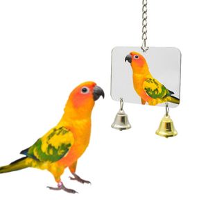 Andere vogelbenodigdheden 8 -stijl huisdierenspiegel spiegel plezier voor valkparkietpapegaaien kleine vogels papegaai speelgoed klimaccessoires