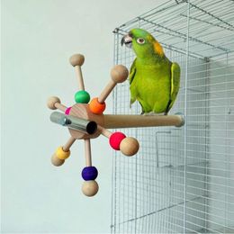 Otros suministros para pájaros Juguete para pájaros con bolas giratorias Soporte interactivo de madera Forrajeo de loros coloridos para agapornis Productos para mascotas