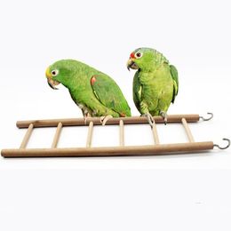 Autres fournitures pour oiseaux Brids Toy Cage Échelles Jouets pour perroquets dans la maison Accessoires pour perruches Agapornis Aves FournituresAutres