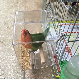 Andere vogels benodigdheden Caitec papegaai spillbestendig voerdoos voedselcontainer bijten resistent geschikt voor kleine vogels 230816