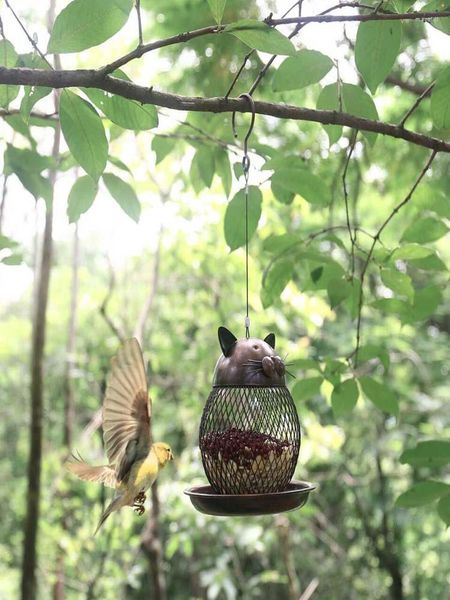 Otros suministros para pájaros Comedero para gatos Adornos artesanales de alambre de acero Campo de metal Balcón al aire libre