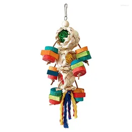 Autres fournitures d'oiseau mâche jouets en bois naturel coloré à croquer cachaticien caracable malin décoratif hangable conume accessoires pour la perruche
