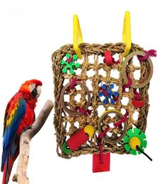 Autres fournitures d'oiseau grimpant des pommes de perroquet nets mordus de merde mordant la corde suspendue jeu de corde de jeu à masquer la recherche de jeu coloré.