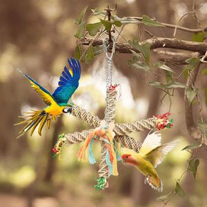 Autres fournitures d'oiseaux Colorful Stand Parrot Budgie Parakeet Birdcage Toying Toy Hanging Cage Accessoires pour Cassaderie