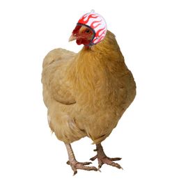 Andere vogels levert creatieve nieuwe huisdier kippenhelm grappige bescherming kip hoed hoeden hoofdendeksel
