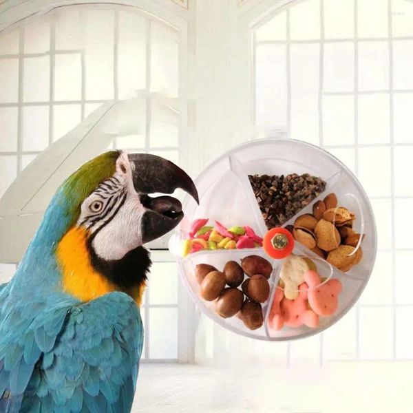 Autres oiseaux Fournitures Créative Compartement rond Compartment interactif Bicheur résistant Plastic Perrot Feeder Toy Wheel Pet Trew Box Birds Accessoires