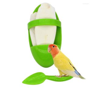 Autres fournitures d'oiseaux seiche pour accessoires de cage de perruche porte-os de câlin stockage de nourriture seiche