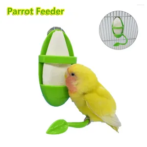Autres fournitures d'oiseau à parking en plastique vert durable Budgie Cockatiel Perrot Feeder Cage Hamacl