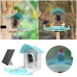 Otros suministros de aves Camera de alimentación AI reconoce a las aves para ver la automática inalámbrica al aire libre de colgar la decoración del jardín fuera del jardín