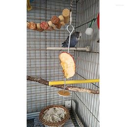 Autres alimentations d'oiseaux Fraisage Pet Parrot Birds Soutien de l'alimentation Soutien en acier inoxydable Fruit de lance Brochette de fourchette