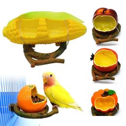 Otros suministros de aves alimentando 1pc forma divertida de fruta alimentador de loros de color naranja alimento alimento tazón de agua alimentadores de contenedores para cajas dh0iv