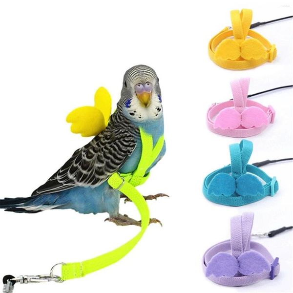 Autres fournitures pour oiseaux laisse de marche volante corde de perroquet réglable longue bande laisse ceinture harnais entraînement en plein air
