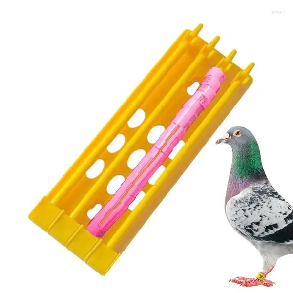 Autres fournitures d'oiseaux Bague de pied Stand Racing Rackage Rack Racks Training Training Identifier le groupe robuste