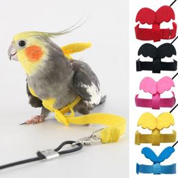 Andere vogelbenodigdheden voor papegaaien Outdoor Flying Rope Training Harness Leash Set Parrot Walking Anti-bite Tool