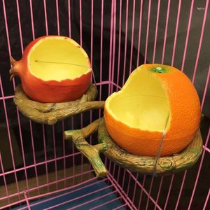 Autres fournitures d'oiseau Fruit Fruit Fiche de perroquet Fondage orange Pomegranate Alimentation Eaux d'alimentation Bol Faisiniers Conteners 1pc Pour les cages Cages Coop
