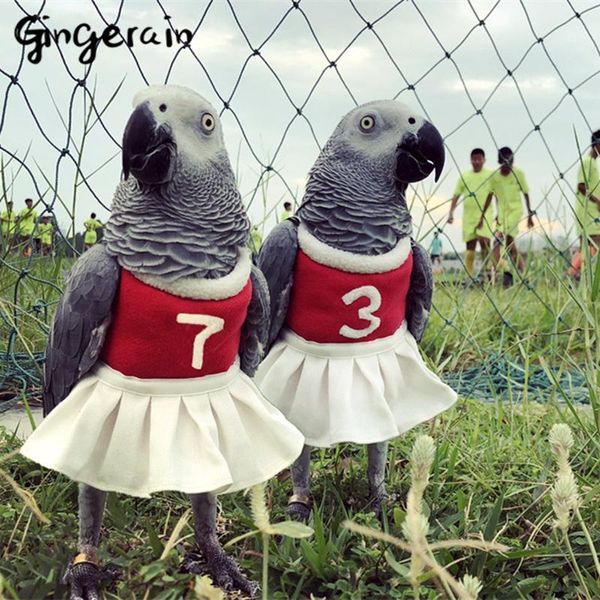 Autres fournitures pour oiseaux Vêtements Gingerain Perroquet Cheering Squad Pull à capuche personnalisé fait à la main