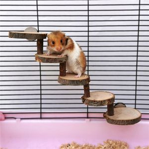 Autres fournitures d'oiseaux Hamster échelle en bois jouet escalade escaliers oiseaux perroquet exercice perches support plate-forme soins des dents molaires jouets cage