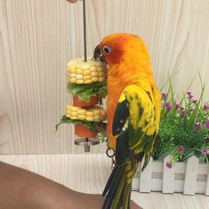 Andere vogelbenodigdheden houder hangende papegaai traktatie voeding gereedschap voor fruitgroente parakeet conure lovebird finch dropship