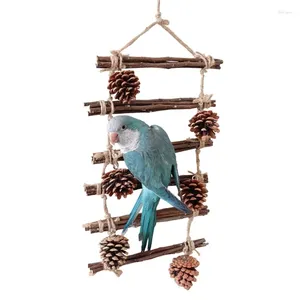 Autres fournitures d'oiseau Exercice d'échelle Branche de jouets debout pour les perruches Buffies Pinecone 6xde