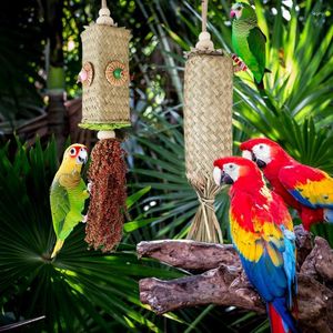 Andere vogelbenodigdheden Grote papegaaienspeelgoed Tanden reinigen en entertainen Kauwen Palmblad Training Pluche kooiaccessoires Voor parkieten Conures