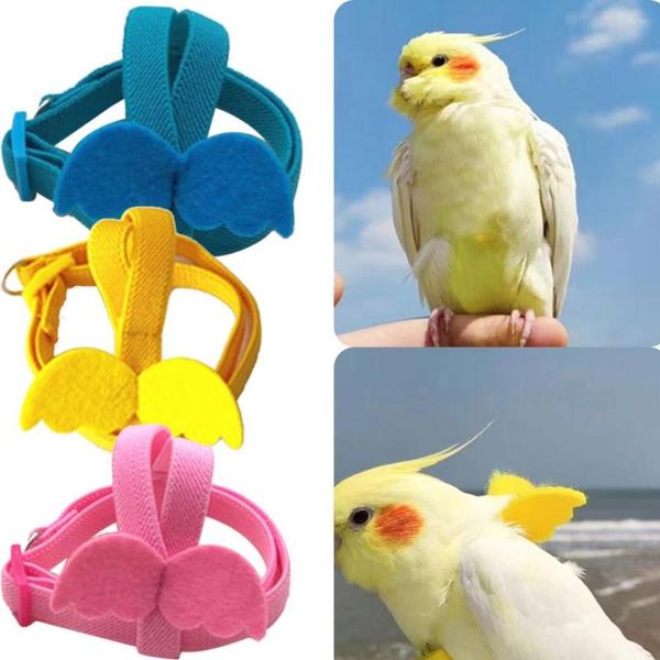 Autres fournitures d'oiseaux Harnais de câble long Laisse Anti-morsure Corde d'entraînement décorative légère perruche perroquet gilet pour petits oiseaux calopsittes