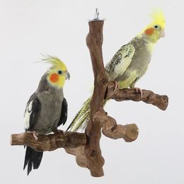 Autres fournitures d'oiseaux de vigne naturelle Branche d'arbre à perroque