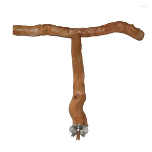 Autres fournitures d'oiseaux en bois naturel perroquet perroquet brut fourchette branche d'arbre support écureuil hamster perchoirs mâcher morsure jouets bâton