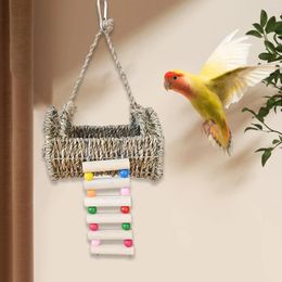 Otros suministros para pájaros Nido Hut Birdhouse con decoración de escalera reproducción de casa colgante para hámster perakete lovebird budgies loro