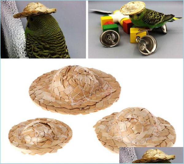 Autres fournitures d'oiseaux Le plus récent chapeau tissé à la main réglable pour perroquet oiseaux accessoires de tête à la mode jouet pour animaux de compagnie fournitures d'oiseaux Dr4563304