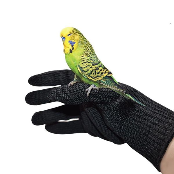 Autres fournitures pour oiseaux Gants en fil anti-morsure pour perroquet Attraper la mastication Sécurité Formation de protection pour les oiseaux Petit animal Gant de manipulation pour animaux de compagnie