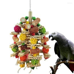 Autres fournitures d'oiseau Parrot Mochettes Toys Corn Cob MTIW Birdhouse Toy Perrots Natural Clambing For African Gre