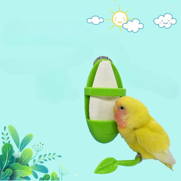 Autres fournitures pour oiseaux Mangeoires pour perroquets Os de seiche Cockatiel Ustensiles de perruche Légumes Paniers de fruits Supplément de calcium Cadre d'alimentation