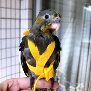 Autres fournitures d'oiseaux Parrot Flying Harness Leash Suit Pet Pet à l'extérieur Corde d'entraînement en vol Coucations ACCESSOIRES MACAW