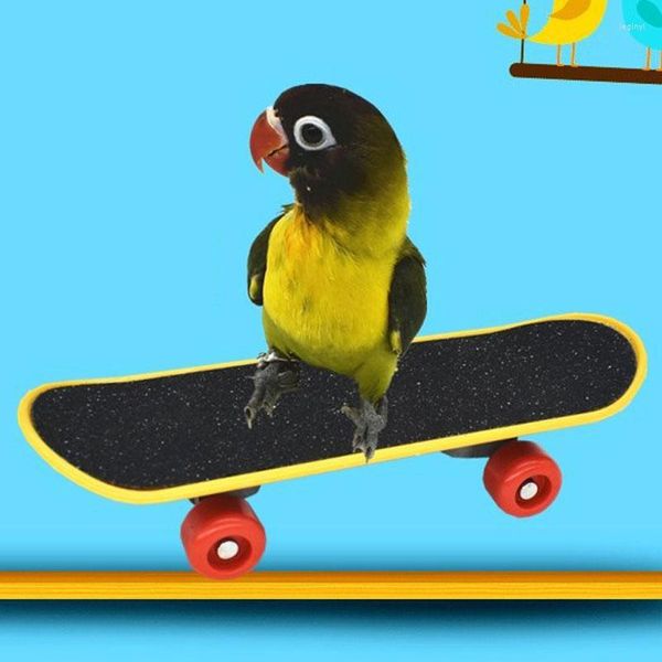 Otros suministros de aves Parrot Intelligence Toys Mini Entrenamiento Plástico Monopatín para periquitos Crecimiento de periquitos Divertido Molienda Garra Scooter