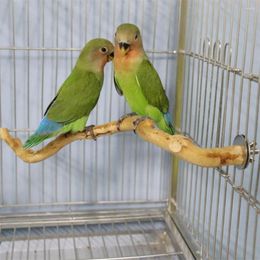 Andere vogels leveren papegaai Pet Stand Stick Wood Pole speelgoed Cockatiel Parakeet Baars bijt Claw slijpkooi Accessorie