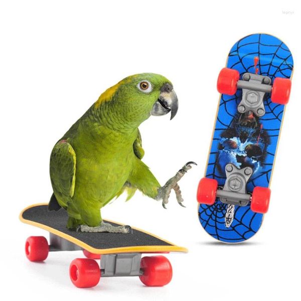 Otros suministros para pájaros Parrot Skateboard Toys Columpio colorido Campana hecha a mano Jaula colgante Joyería Pequeño kit de juguete