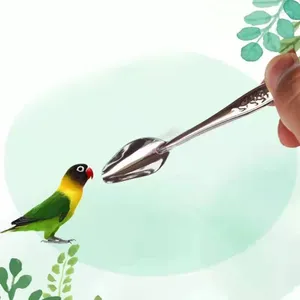 Autres fournitures pour oiseaux Perroquet Cuillère d'alimentation en acier inoxydable Alimentation en métal durable pour petit