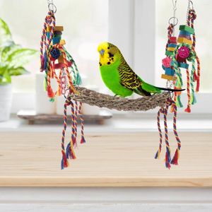 Autres fournitures d'oiseau Parrot décor de jouet décoratif animal de compagnie drôle d'escalade hamac hamsh hamster tapis filet pour les perruches chinchilla