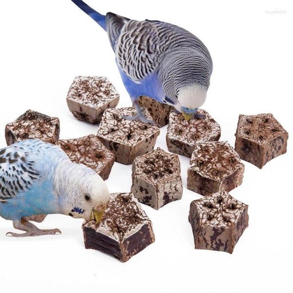 Otros suministros para pájaros Juguete para loros Juguetes para masticar naturales Accesorios para jaulas de frutas secas para hámsteres Jerbos Ardillas Ardillas Pequeñas y medianas