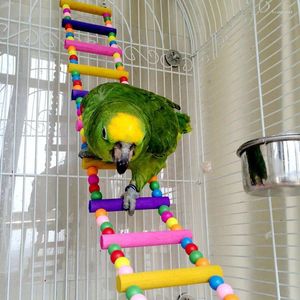 Autres fournitures d'oiseaux Jouets de perroquet Cage suspendue colorée Échelles d'escalade avec perroquets en bois naturel Pont suspendu Swing Toy