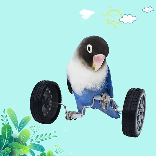 Otros suministros de aves PARROT Entrenamiento Balancing Bike Toy Interactive Row Roller Cage Cockatiels Birds Funny Pet Sports