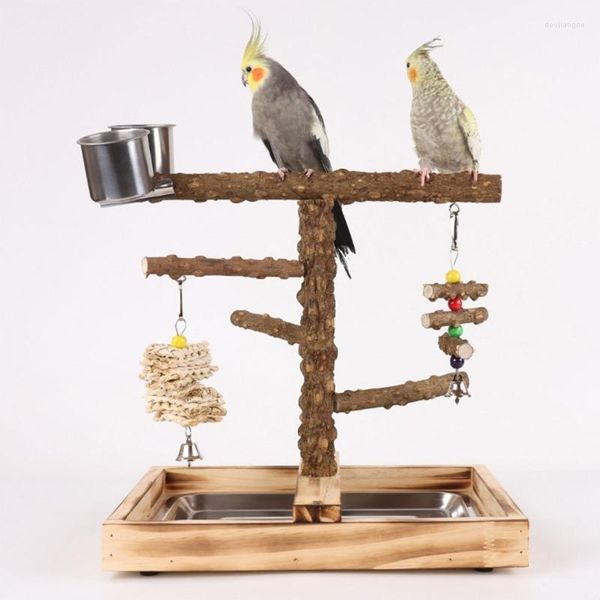 Autres fournitures d'oiseaux Perroquets Cage Swing Stands Set en bois avec jouet et plateau