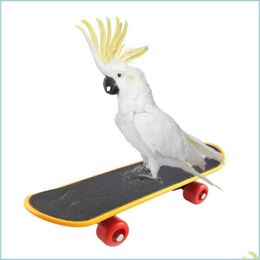 Andere vogels leveren huisdiervogel speelgoed parrot intelligentie mini skateboard budgies parket stand perch speelgoed educatieve training accessori dhwft