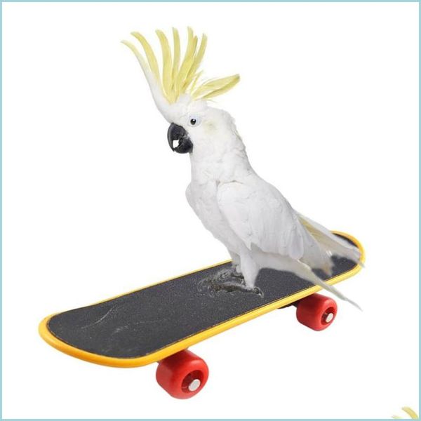 Autres fournitures d'oiseaux Jouets d'oiseaux pour animaux de compagnie Perroquet Intelligence Mini Skateboard Budgies Perruche Stand Perch Jouet Formation éducative Accessori Dhwft