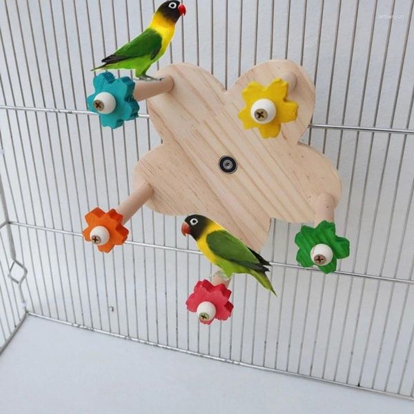 Autres fournitures d'oiseaux Budgies pour animaux de compagnie Cage Feeder Touet pour plusieurs oiseaux Traine rotative Roue colorée petite taille Décoration