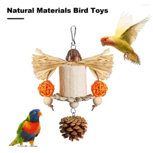 Autres fournitures d'oiseau pour animaux de compagnie accessoires de jeu coloré