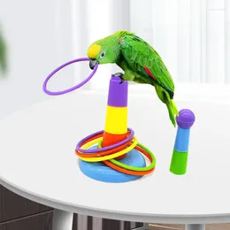 Autres fournitures d'oiseaux Pet Funny Mini Virole Jouet pour perroquet Intelligence Développement Jeu Anneau coloré Vogel Speelgoed Oiseaux Activité