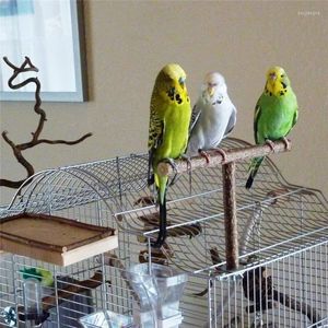 Other Bird Supplies Pet Parakeet Budgie Hanging Play Toys Cage Wood Branch Stand Perches Parrot Wooden Resk Holder Platform